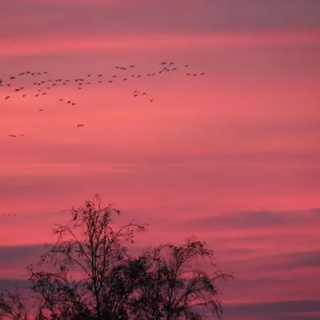 Hus Stoertebeker, Familienfreundliches Fuer 6 Personen In * Zingst